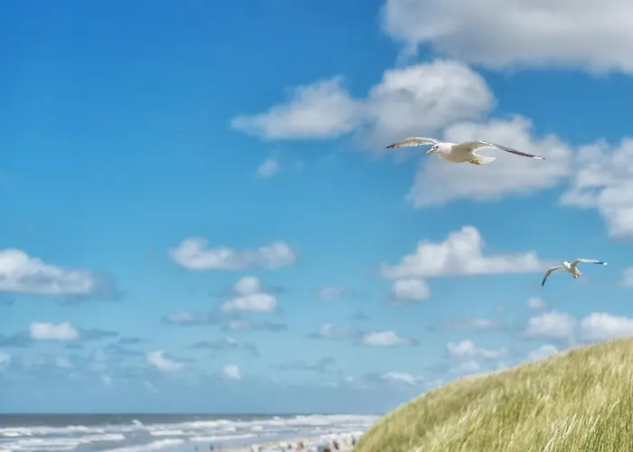 Duenenklause Duene 2 Шпикерог