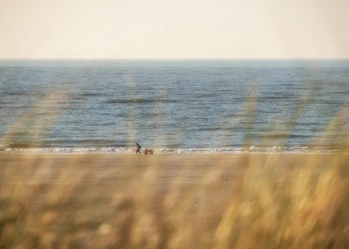 Duenenklause Duene 2 * Шпикерог